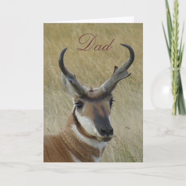A5 Pronghorn Antelope Buck Head Shot Card (Front)