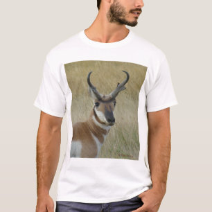 A5 Pronghorn Antelope Buck Head Shot T-Shirt