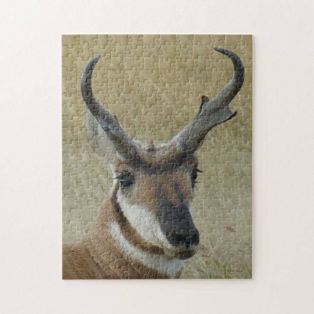 A5 Pronghorn Antelope Head Shot Jigsaw Puzzle (Vertical)