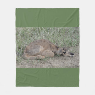 A6 Baby Antelope Fleece Blanket
