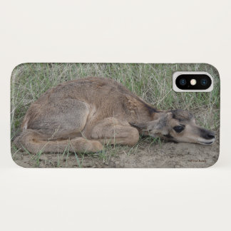 A6 Baby Pronghorn Antelope iPhone X Case