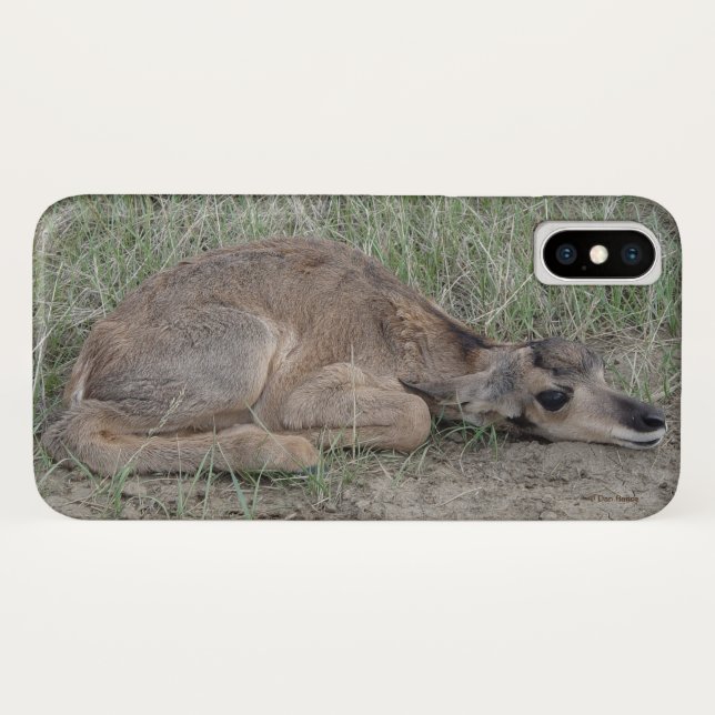 A6 Baby Pronghorn Antelope Case-Mate iPhone Case (Back (Horizontal))