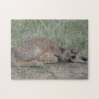 A6 Baby Pronghorn Antelope Jigsaw Puzzle