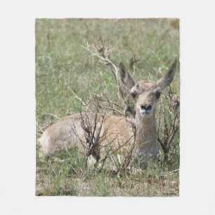 A7 Baby Pronghorn Antelope Fleece Blanket