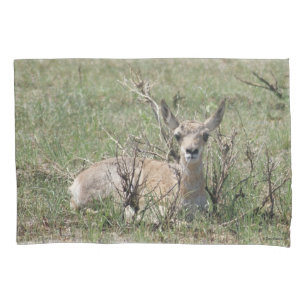 A7 Baby Pronghorn Antelope Pillowcase