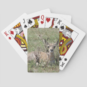 A7 Baby Pronghorn Antelope Playing Cards