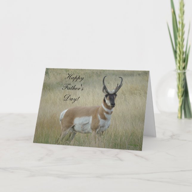 A8 Pronghorn Antelope Big Buck Card (Front)