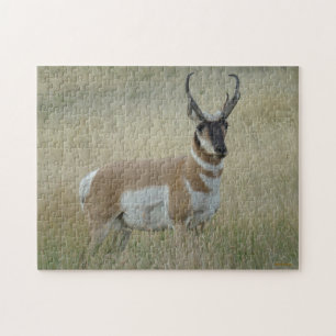 A8 Pronghorn Antelope Big Buck Jigsaw Puzzle