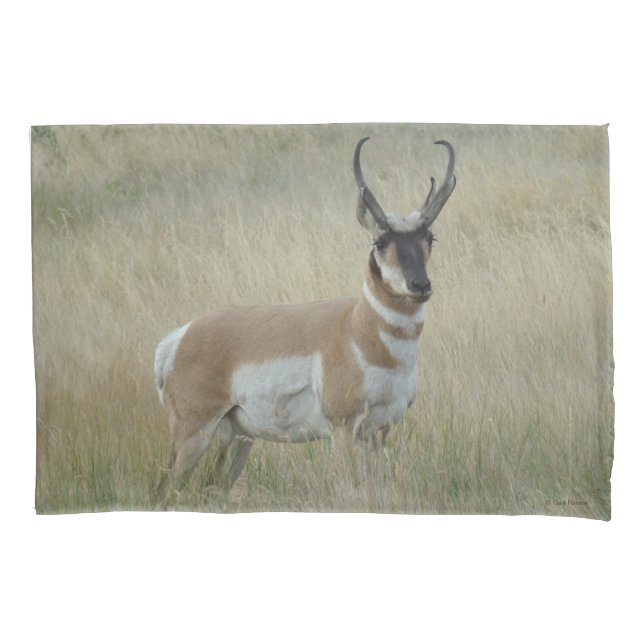 A8 Pronghorn Antelope Big Buck Pillowcase (Front)