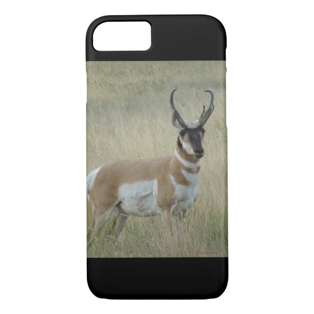 A8 Pronghorn Antelope Buck Case-Mate iPhone Case (Back)