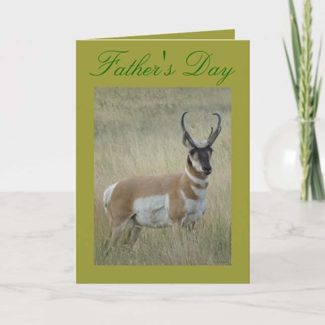 A9 Pronghorn Antelope Big Buck Card (Front)