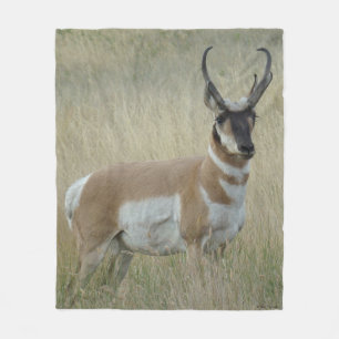 A9 Pronghorn Antelope Big Buck Fleece Blanket