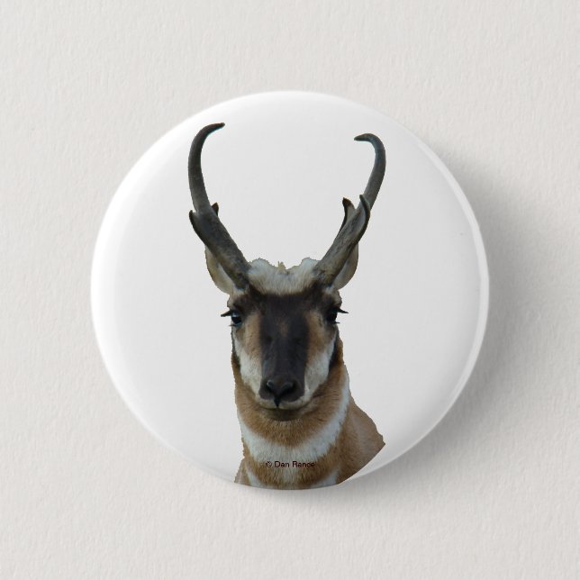 A9 Pronghorn Antelope Head 6 Cm Round Badge (Front)