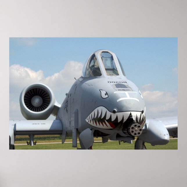 A-10 Thunderbolt II Poster (Front)