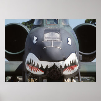 A-10 Thunderbolt II Poster
