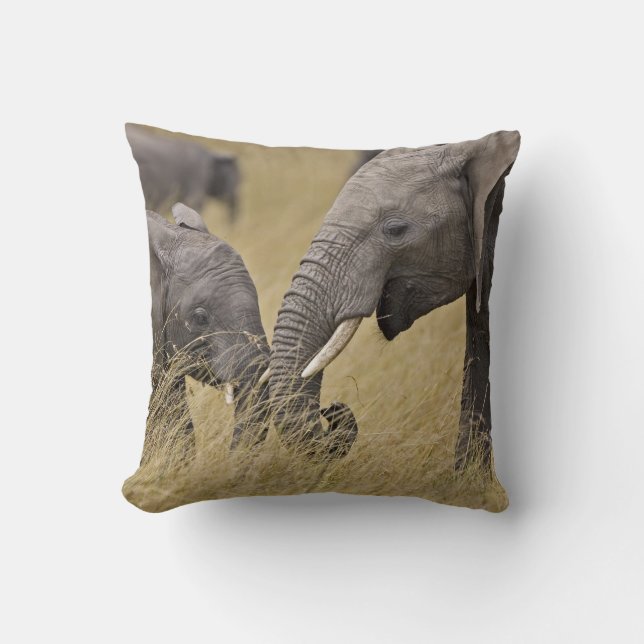 A African Elephant grazing in the fields Cushion (Front)