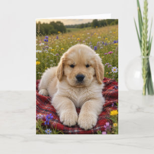 A&B Blank Greeting #3 Card