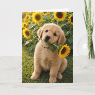 A&B Blank Greeting Card #4b