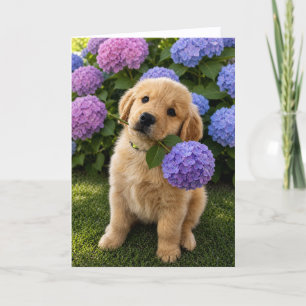 A&B Blank Greeting Card  #4d
