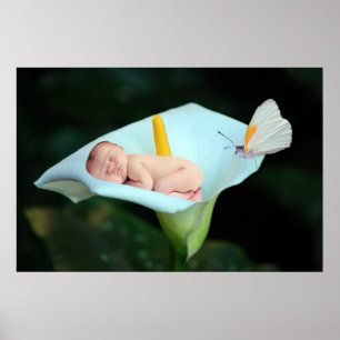 A baby and water lily flower poster