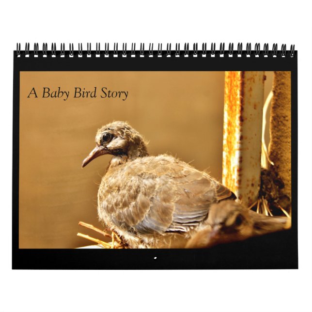 A Baby Bird Story    Calendar (Cover)