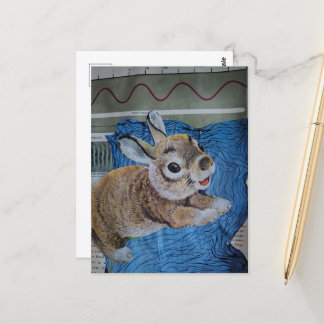 A Baby Bunny Collage Postcard