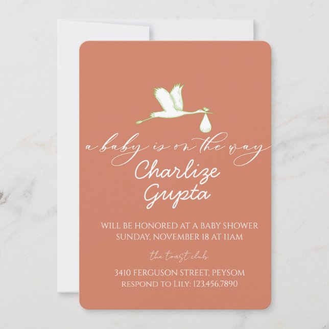 A Baby Is on the Way Baby Shower  Invitation (Front)