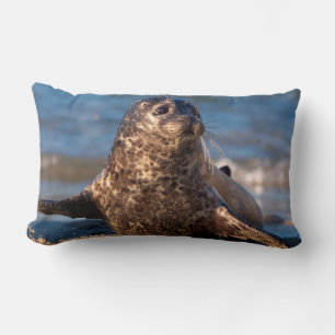 A baby seal coming ashore in Children's Pool Lumbar Cushion