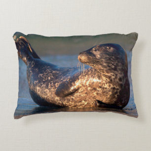 A baby seal lifting it's tail decorative cushion