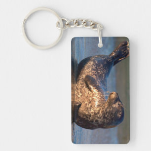 A baby seal lifting it's tail key ring