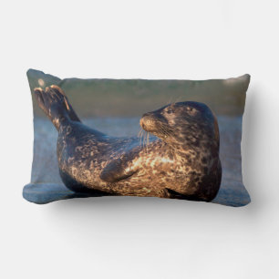 A baby seal lifting it's tail lumbar cushion