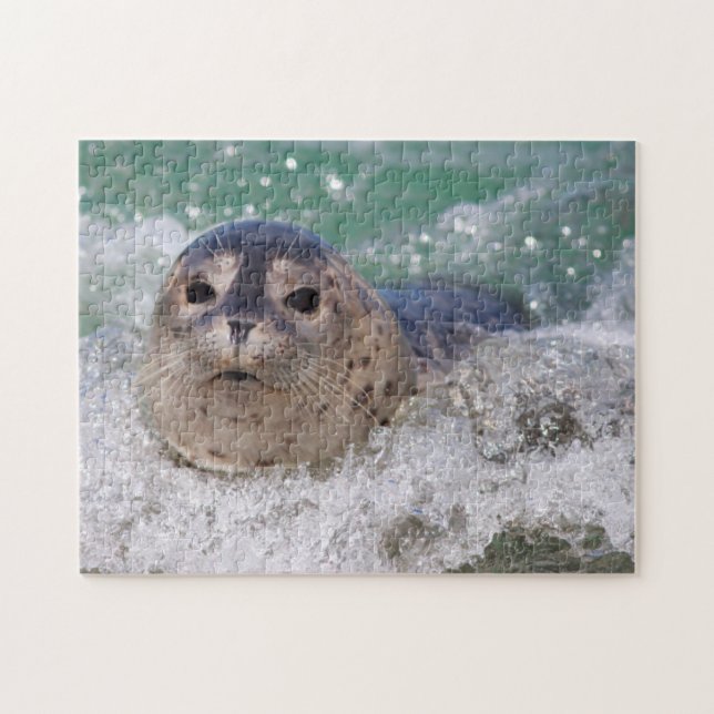 A baby seal surfing jigsaw puzzle (Horizontal)