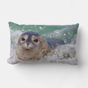 A baby seal surfing lumbar cushion
