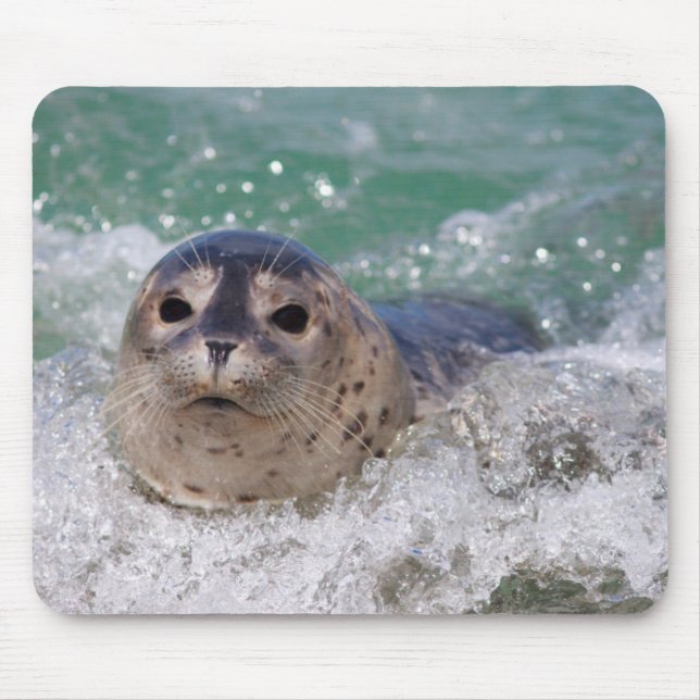 A baby seal surfing mouse pad (Front)