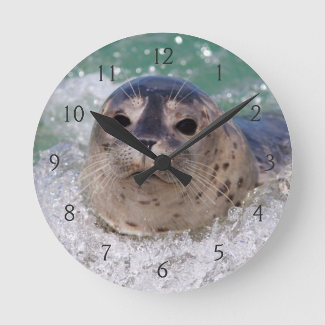 A baby seal surfing round clock (Front)