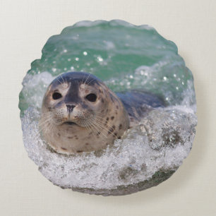 A baby seal surfing round cushion