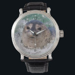 A baby seal surfing watch<br><div class="desc">Jaynes Gallery / DanitaDelimont.com | USA,  North America,  California | USA,  California,  La Jolla. A baby seal surfing. Credit as: Christopher Talbot Frank / Jaynes Gallery / DanitaDelimont.com</div>