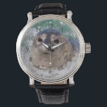 A baby seal surfing watch<br><div class="desc">Jaynes Gallery / DanitaDelimont.com | USA,  North America,  California | USA,  California,  La Jolla. A baby seal surfing. Credit as: Christopher Talbot Frank / Jaynes Gallery / DanitaDelimont.com</div>