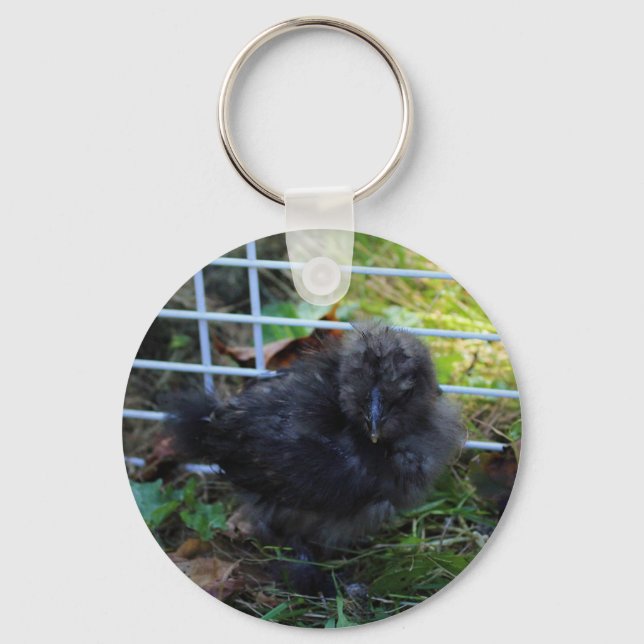 A Baby Silkie Key Ring (Front)