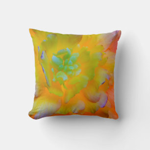 A back-lit, glowing begonia blossom cushion