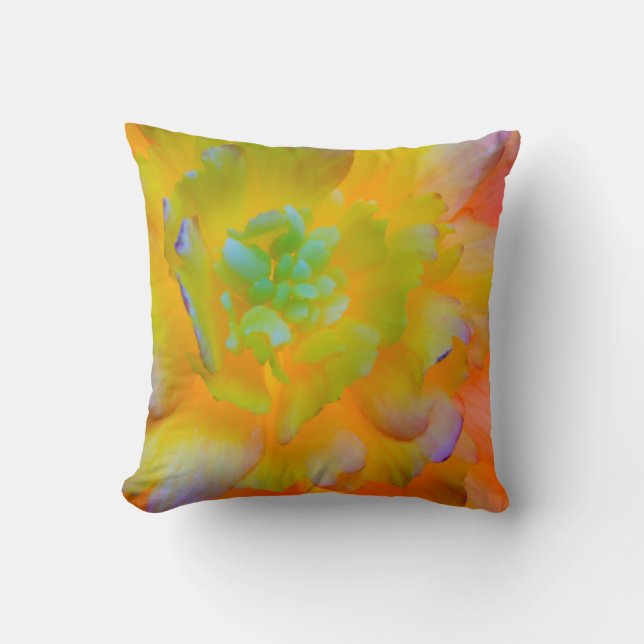 A back-lit, glowing begonia blossom cushion (Front)