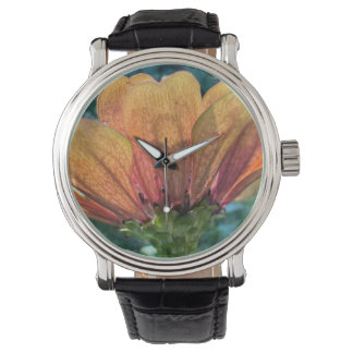 A backlit orange zinnia flower watch