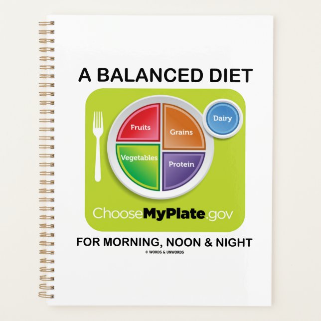 A Balanced Diet For Morning Noon And Night MyPlate Planner (Front)