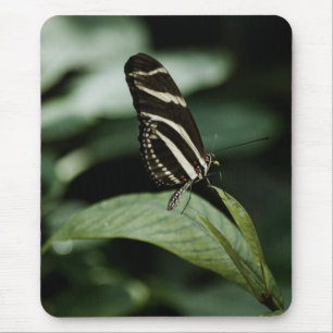 A Balanced Meal Mousepad