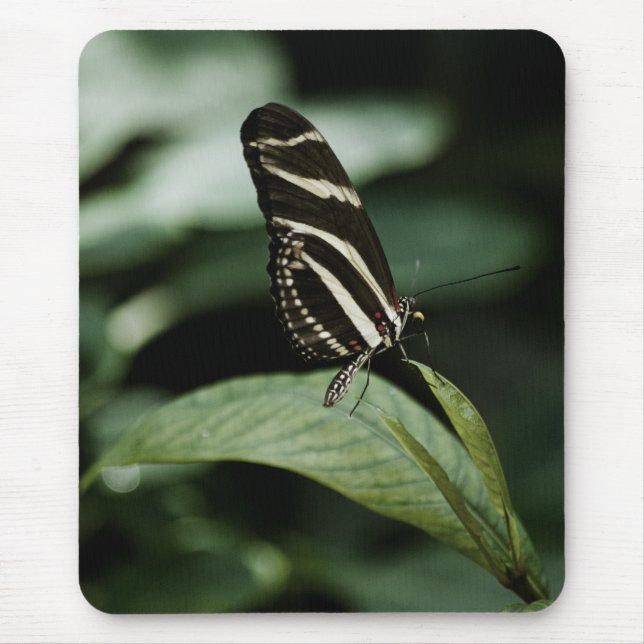 A Balanced Meal Mousepad (Front)