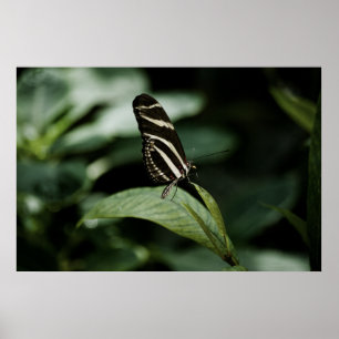 A Balanced Meal Print