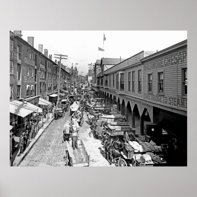 A Baltimore Street Poster (Front)