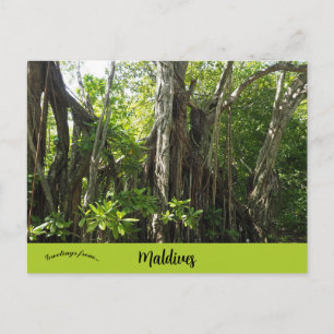 A Banyan Tree in Maldives Postcard