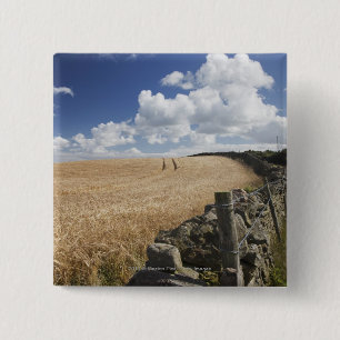 A Barbed Wire Fence Built Along A Stone Fence 15 Cm Square Badge