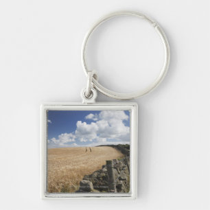 A Barbed Wire Fence Built Along A Stone Fence Key Ring